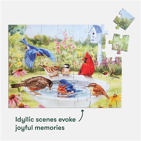 Relish 35 Piece Bathing Birds Dementia Jigsaw Puzzle – Puzzles ...