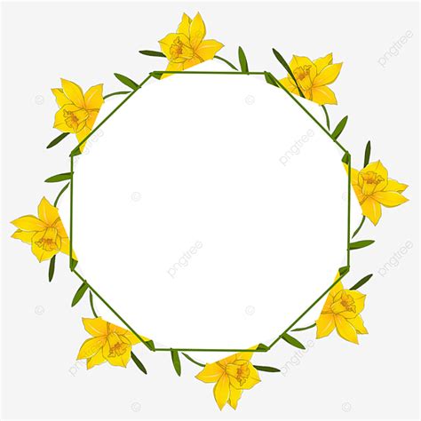 Daffodil Border Png Picture Watercolor Daffodil Flower Border