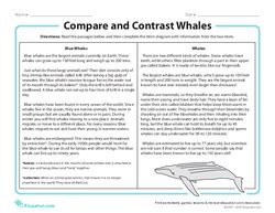 Nonfiction Comprehension Compare And Contrast Lesson Plan