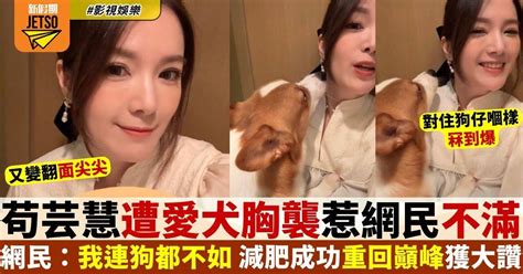 苟芸慧遭愛犬胸襲 狂踩胸阻主人出街惹熱議 減肥成功重回巔峰狀態獲網民大讚 影視娛樂 新假期