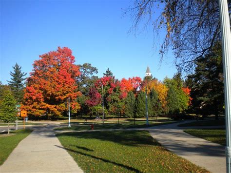 Michigan State University In The Fall Photo By Danielle Brophy 2010