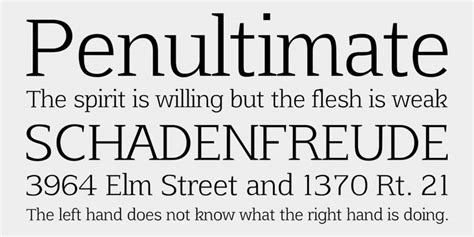 25+ Free Serif Fonts for Timeless & Elegant Design – Speckyboy