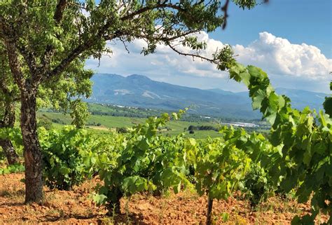 Cinco motivos por los que El Bierzo es un paraíso para los amantes del