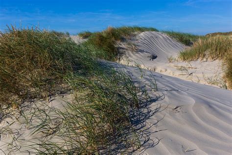 Fano Beach Dune - Free photo on Pixabay - Pixabay