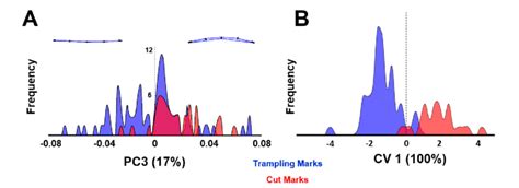 Principal Components And Canonical Variance Analysis Comparing Cut And Download Scientific