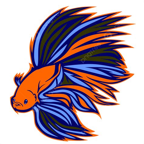 Peces Betta De Colores Vector Png Betta Pez Pez Betta Png Y Vector