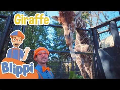 Learning Zoo Animals For Kids With Blippi & More Blippi Episodes ...