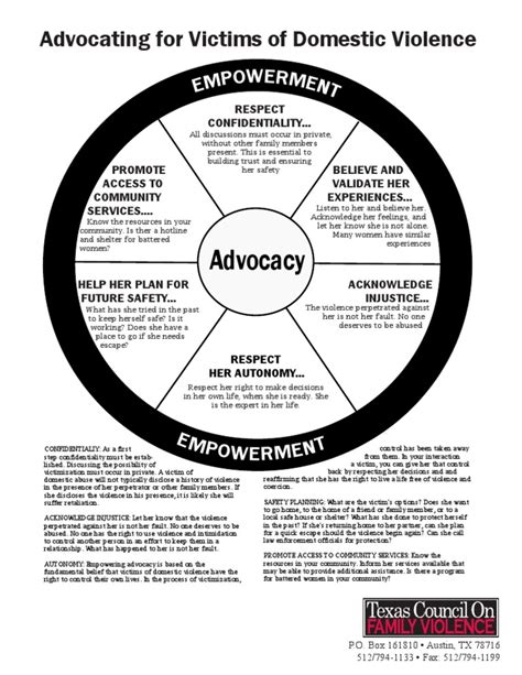 Advocacy Wheel Domestic Violence Misconduct