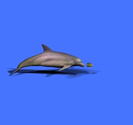 Dolphin eating fish by Isaacb122 on DeviantArt