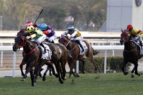 香港經典一哩賽圖輯 賽馬新聞 香港賽馬會