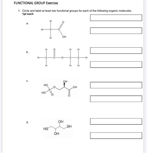 Solved Functional Group Exercise 1 Circle And Label At