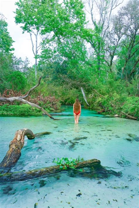 Kings Landing Florida Kayaking Crystal Clear Emerald Cut Florida