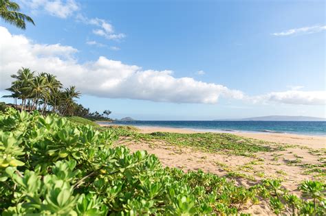 What to Know About Maui Weather | Engaged on Maui | Proposal ...