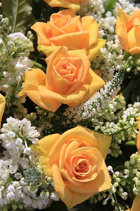 Wedding Flower Arrangement With Yellow Roses And White Common Lilac ...