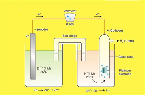 Standard Hydrogen Electrodeshe Definition Diagram Application