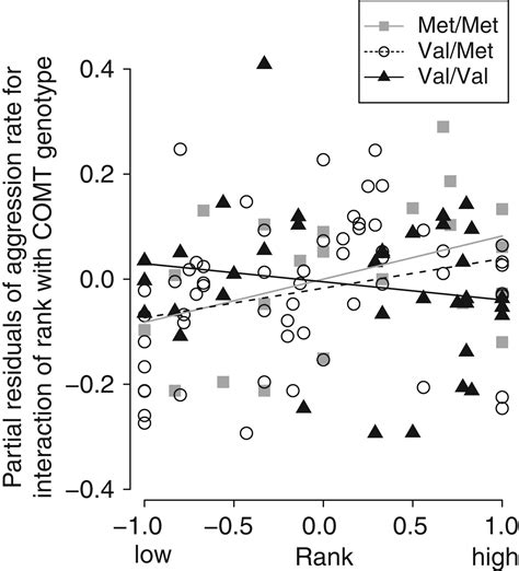 Comt Val Met Moderates The Link Between Rank And Aggression In A Non