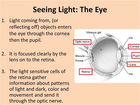 Spectra Of Science Amole Ppt Download