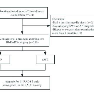 The Color Pattern Features Of Shear Wave Elastography A No