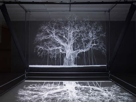 Intervista Allartista Mat Collishaw Artribune