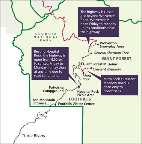 Giant Forest in Sequoia National Park to reopen months after closure