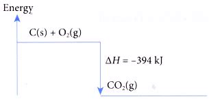 What is the heat of combustion? - A Plus Topper