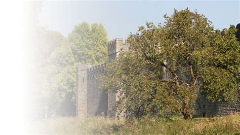 Bute Park - Cardiff Castle