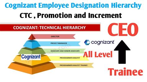 Cognizant All Designation Level Cognizant Employee Level Hierarchy