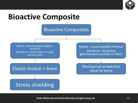 Introduction To Bioactive Glass