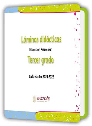 Libro Láminas didácticas 3º de Preescolar Descargar PDF 2024