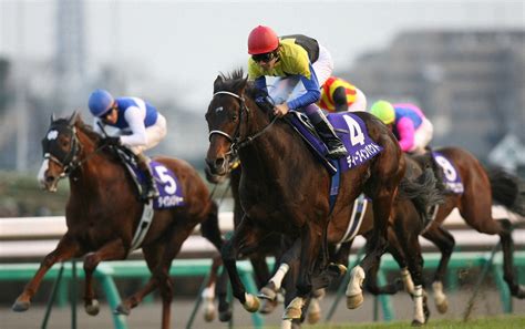 【有馬記念】最後も“飛んだ”ディープインパクト 生涯最高のレース― スポニチ Sponichi Annex ギャンブル