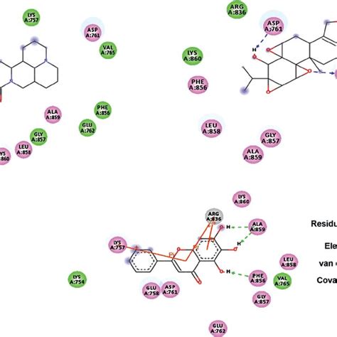 Effects Of Triptolide And Three Known Drugs On The Viability Of H2347