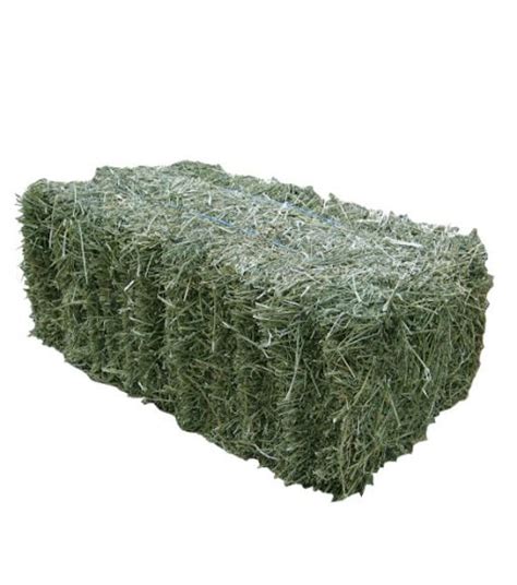 Timothy Grass Hay Bale - Wilco Farm Stores