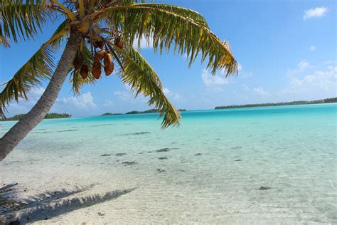 The beauty of the Blue Lagoon in Rangiroa www.tahitibycarl.com www ...