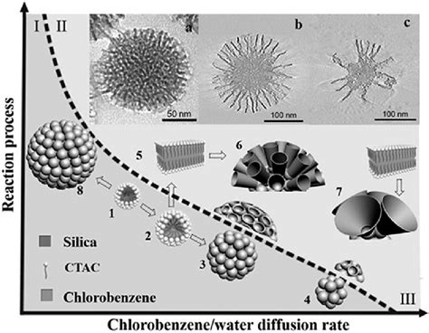 Proposed Formation Mechanism For Monodisperse Mesoporous Silica