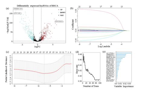 Anoikis Related Mrna Lncrna And Dna Methylation Profiles For Overall