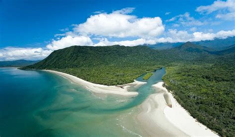 How Is The Daintree Rainforest Being Protected