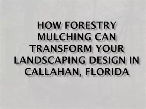 Ppt How Forestry Mulching Can Transform Your Landscaping Design In Callahan Florida