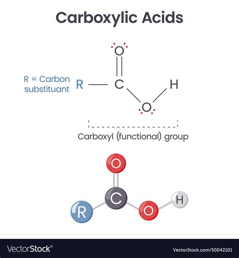 Carboxylic acid chemical functional group Vector Image