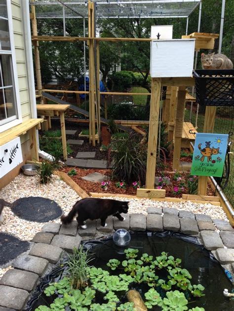 Outdoor Cat House Design Catios Ideas For Cats Catio Plan Cat Lovers