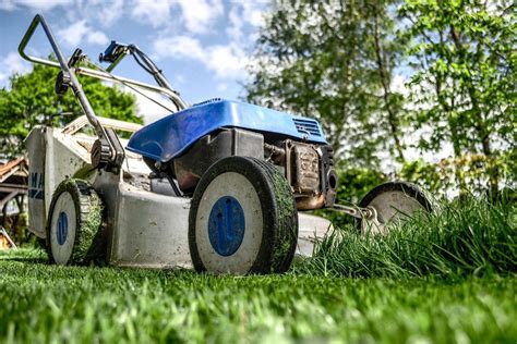 What Is The Ideal Height To Cut Grass Ope Reviews