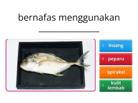 Kenali Organ Pernafasan Haiwan Quiz