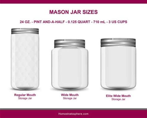 Mason Jar Sizes Illustrated Guide