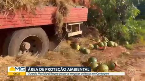 Guarda Municipal Flagra Descarte Irregular De Frutas Em Contagem Bom