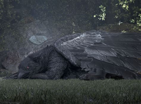 Black Gryphon - Lying in a forest | Mythical creatures, Fantasy ...