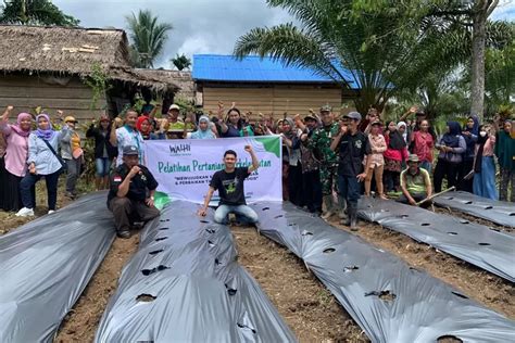 Walhi Sulteng Dorong Kemandirian Pangan Holtikultura Lewat Pendampingan