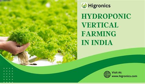 Hydroponic Vertical Farming In India By Higronics Himedialab Issuu