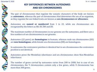 Sex Linked Inheritance PDF