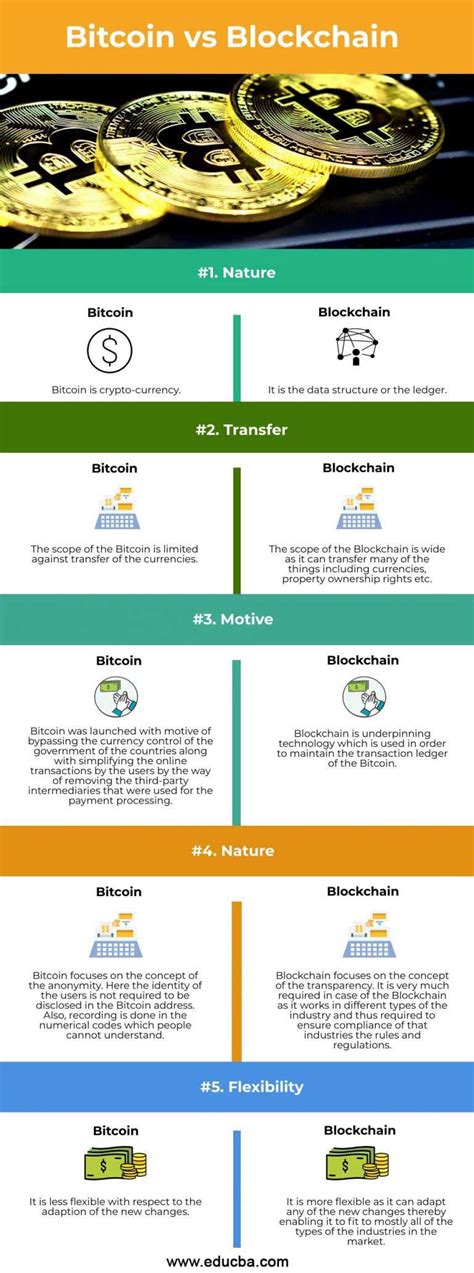 Bitcoin Vs Blockchain Top 5 Differences To Learn With Infographics