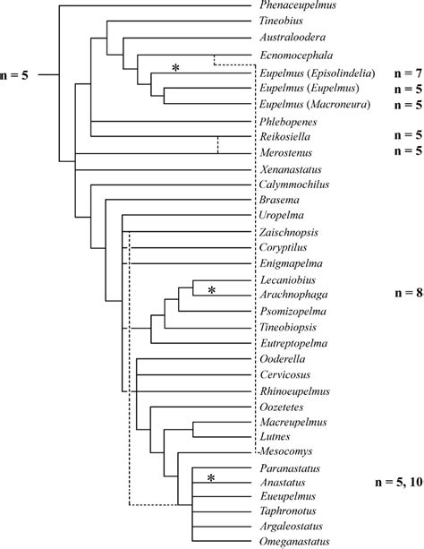 Karyotype Evolution In Eupelminae Haploid Chromosome Numbers Were