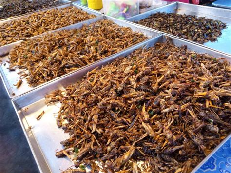 Fried insects stock photo. Image of edible, grasshoppers - 184767944